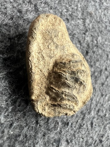 Medieval lead pot mend f33 - medieval,